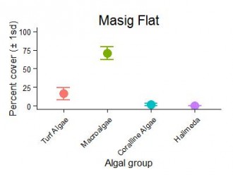 Masig Reef Flat Algae Graph