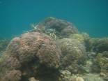 Kabbikane Reef first flank