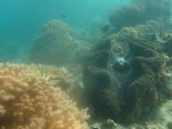 Kabbikane Reef front