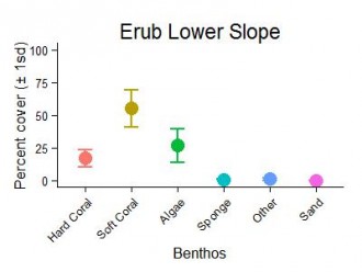 Erub Reef Lower Slope Benthic Group Graph