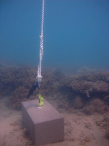 Booby Island - Torres Strait Temperature Logger (Slope Logger: BOOBYSL1)