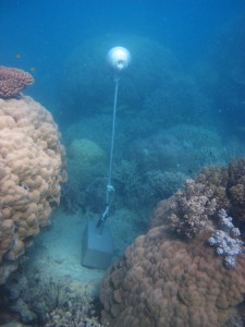Woiz Reef - Torres Strait Temperature Logger (Slope Logger: WOIZSL1)