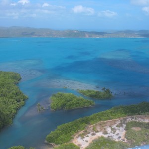 Horn Island - Mangroves and mud flats