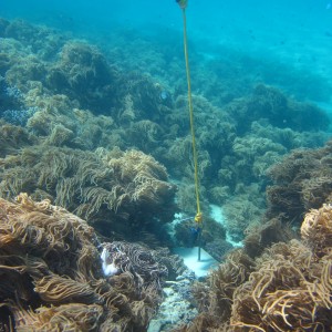 Mer Island - Temperature logger