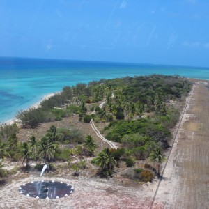 Coconut Island - Landing