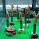 Corals mounted on Lego blocs, at AIMS