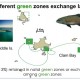 Dispersal of coral trout larvae