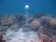 Woiz Reef - Torres Strait Temperature Logger (Flat Logger: WOIZFL1)